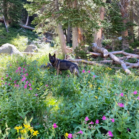 Meet your Posher, Kelly - Picture 1 of 1